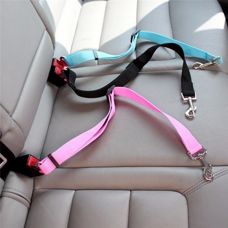 Swing Seat Belt - حزام أمان للقطط والكلاب في السيارة،