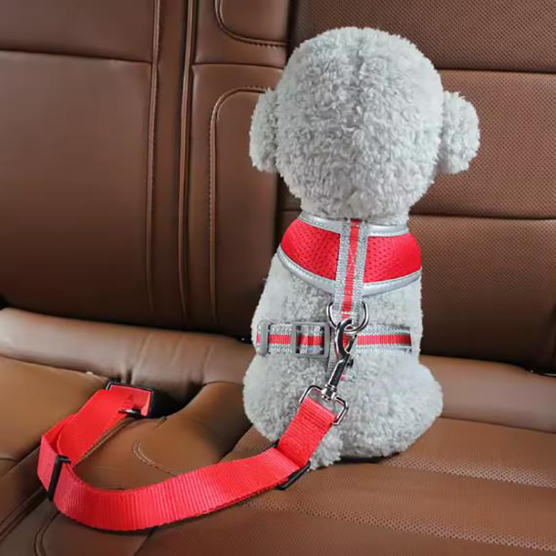 أحزمة مقعد الكلب رائجة البيع ح - مراجعة Swing Seat Belt وسعره
