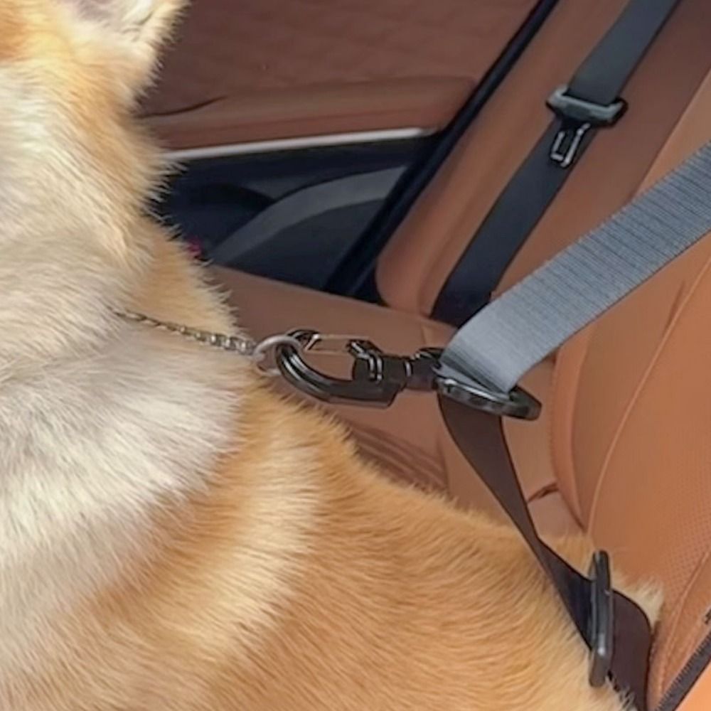 المضادة للتدخل الحيوانات الألي - مراجعة Swing Seat Belt وسعره