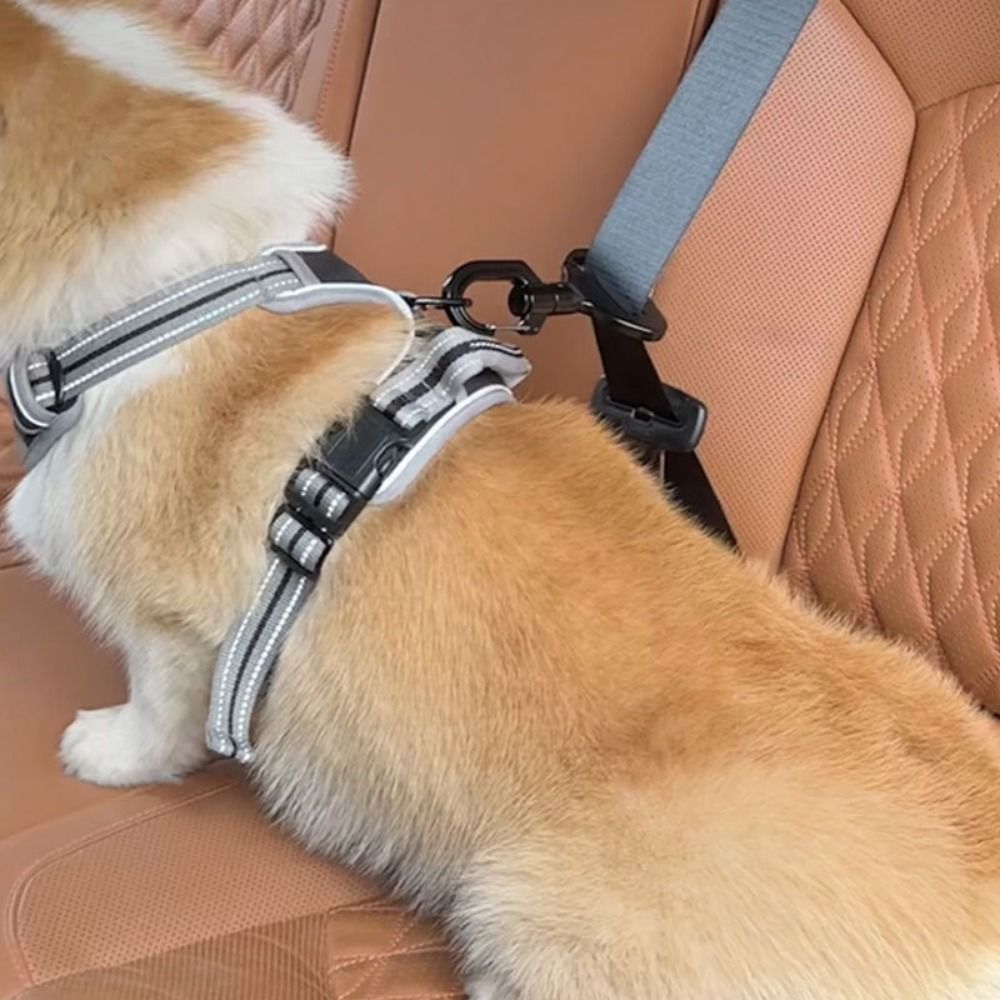المضادة للتدخل الحيوانات الألي - مراجعة Swing Seat Belt وسعره