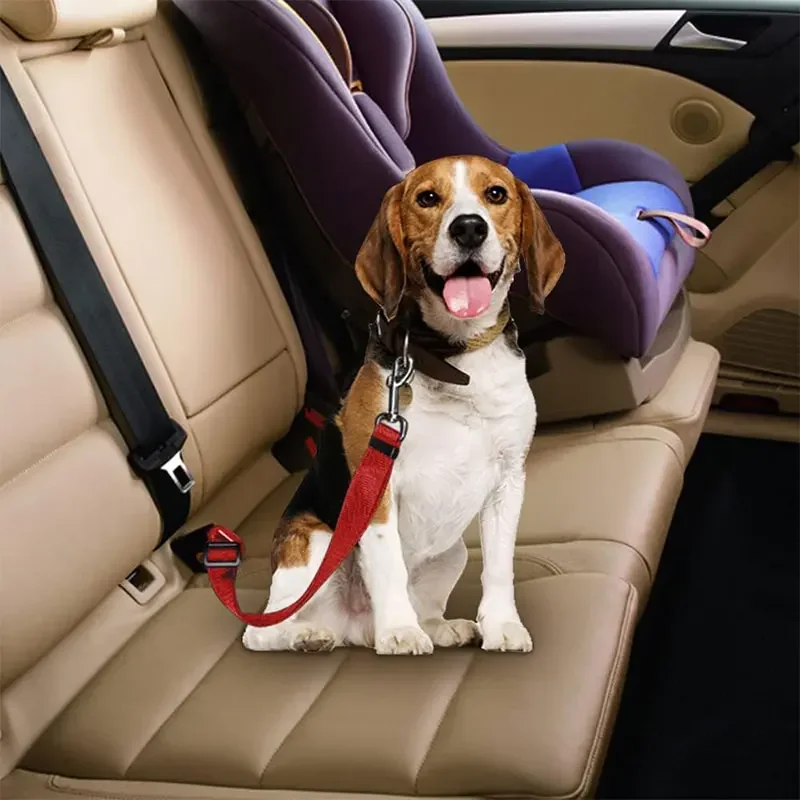 حزام أمان للكلاب في السيارة، ح - مراجعة Swing Seat Belt وسعره
