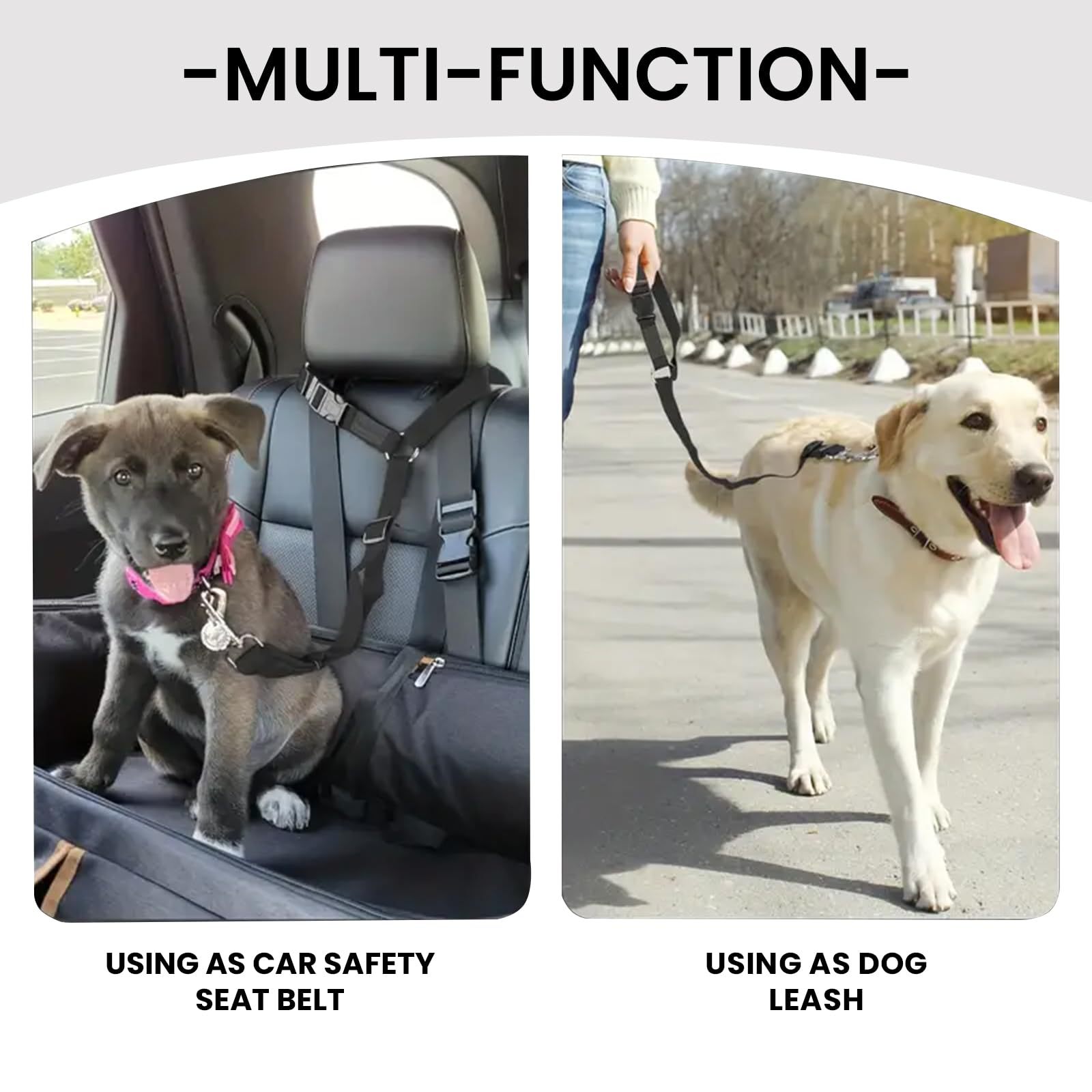 حزام أمان للحيوانات الأليفة في - مراجعة Swing Seat Belt وسعره